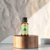 Aloe Vera Esansiyel Yağ - Aloe Vera Fragrance Oil