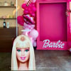 Barbie Girl Temalı Maket