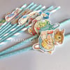 Peter Rabbit Temalı Pipet