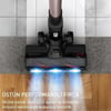 Tefal X-Force Flex 16.60 Animal Aqua 780 Watt Dikey Şarjlı Süpürge