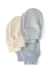 CTR-1V394610Layette Erkek Bebek Eldiven CTR-1V394610