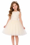 NK-71514Kız Çocuk Yapraklı Elbise NK-71514