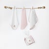 ANW-AC27008Kız Bebek Ağız Mendili 3 Parça Washcloths 20x20 Floral Dreams