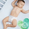 Prima 250 Pure Bebek Bezi 3 No 22 Adet