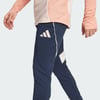 Eşofman AltıadidasJC7005adidas Tiro 25 Erkek Eşofman Altı
