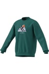 SweatshirtadidasKE2319adidas Terrex Snow Graphic Crew Sweatshirt