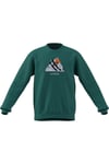SweatshirtadidasKE2319adidas Terrex Snow Graphic Crew Sweatshirt