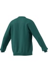 SweatshirtadidasKE2319adidas Terrex Snow Graphic Crew Sweatshirt