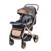Derya Bebe BC65 Goldsiyah Baby Care Capron Çift Yönlü Puset