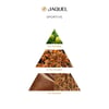 Jaquel Sportive Erkek Parfümü 100ml