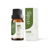 Kekik Uçucu Yağı 10ml