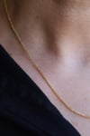 Yenigün Kuyumculuk14 Ayar Altın (1 mm) Tilki Kuyruğu Zincir Kolye