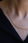 Yenigün Kuyumculuk14 Ayar Altın (2 mm) Tilki Kuyruğu Zincir Kolye
