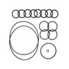 Agrima 200 LPM Pompa O-Ring KitKIT200-ORNG