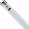 PHİLİPS UVC ULTRAVİYOLE FLORASAN 8W 30CM