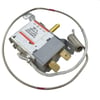 TERMOSTAT WPF31-EX BURGULU