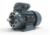 VOLT ELEKTRİK MOTORU 0,75 KW 4P 1500 D/D TRF. 80 2/4V IE3 YY B34 (VOLV3EA80M4IB3440YY)