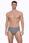 Erkek Elastanlı Gri Slip 887