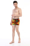 Erkek Renkli Yaprak Desenli Dijital Boxer 796