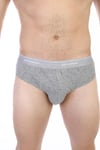 Erkek Ribana Klasik Gri Slip 870