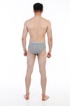 Erkek Ribana Klasik Gri Slip 870
