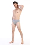 Erkek Ribana Klasik Gri Slip 870