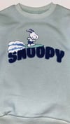 Snoopy Takım