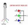 1592-5MM RGB LED 4 PIN ORTAK KATOT