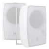 MAGICVOICE MV-20969 20 CM 100 VOLT - 250 WATT 8 İKİ YOLLU TRAFOLU BEYAZ HOPARLÖR (DH 8ATW)