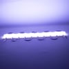POWERMASTER MAT YUVARLAK COB LED 30*44MM KASALI 12V