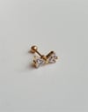 Fiyonk Tragus