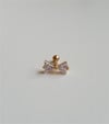 Fiyonk Tragus