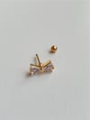 Fiyonk Tragus
