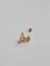 Fiyonk Tragus