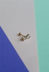 Fiyonk Tragus