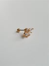 Yaprak Tragus