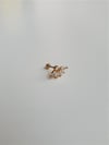 Yaprak Tragus