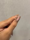 Kelebek Tragus