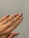 Kelebek Tragus