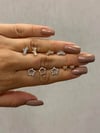 Silver Crown Tragus