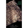 HERBAL BİTKİSEL ŞAL - LEOPAR