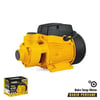 PERİFERİK SU POMPASI 750 WATT 1.0 HP