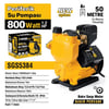 PERİFERİK SU POMPASI 800 WATT 1.2 HP