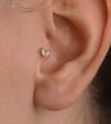 Markiz V Piercing (Tragus)