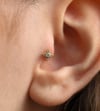 Tomurcuklu Tektaş Piercing