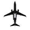 UCK0224Zekupp Boeing 737-800 1/100 Ölçek Beşiktaş Lisanslı Kara Kartal Tasarım  Maket Uçak