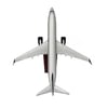 Zekupp Boeing 737-800 1/100 Gümüş Şeritli Model Uçak