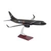 Zekupp Boeing 737-800 1/100 Ölçek Sloganlı Model Uçak