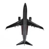 Zekupp Boeing 737-800 1/100 Siyah Çok Çizgili Tasarım Model Uçak