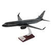 Zekupp Boeing 737-800 1/100 Siyah Çok Çizgili Tasarım Model Uçak